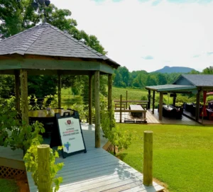 Image description JOLO Gazebo